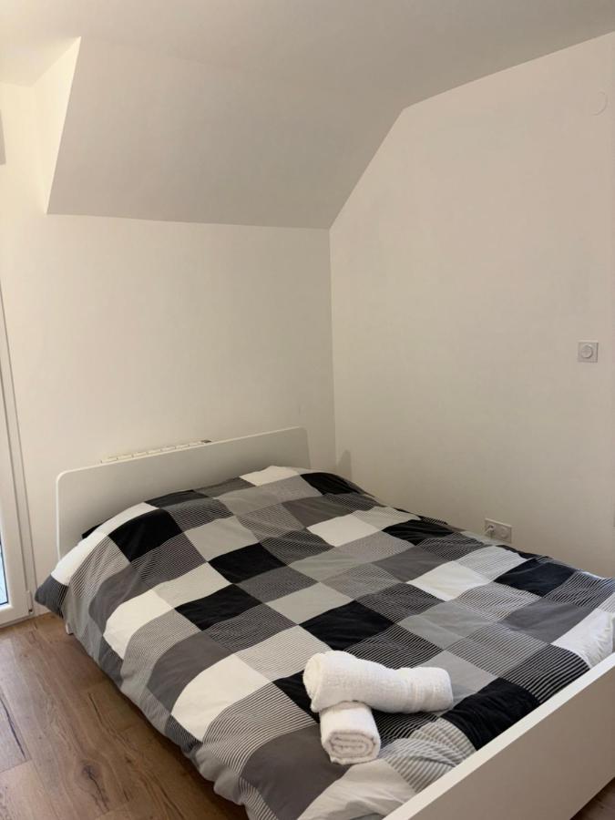 ミュルーズDuplex Neuf Parking Terrasseアパートメント エクステリア 写真
