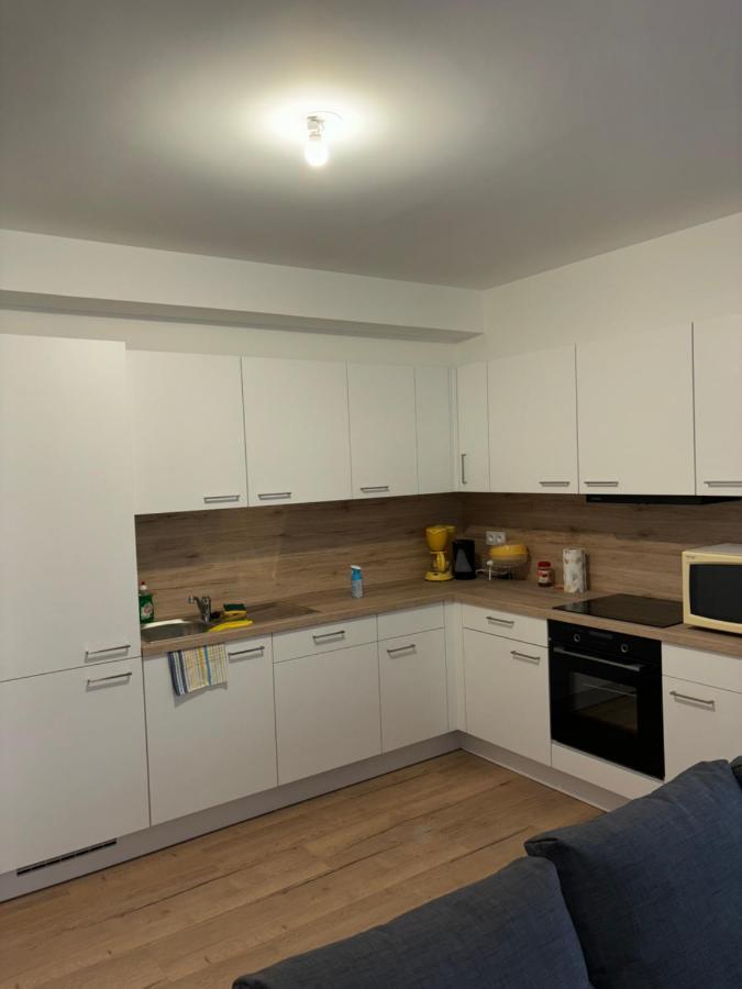 ミュルーズDuplex Neuf Parking Terrasseアパートメント エクステリア 写真